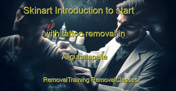 Skinart Introduction to start with tattoo removal in Aliguhatapalle | #RemovalTraining #RemovalClasses #SkinartTraining-India