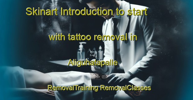 Skinart Introduction to start with tattoo removal in Aliguhatapalle | #RemovalTraining #RemovalClasses #SkinartTraining-India