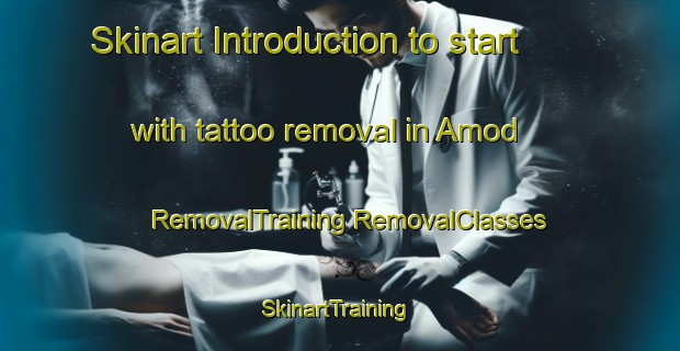 Skinart Introduction to start with tattoo removal in Amod | #RemovalTraining #RemovalClasses #SkinartTraining-India