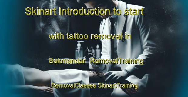 Skinart Introduction to start with tattoo removal in Bakmandar | #RemovalTraining #RemovalClasses #SkinartTraining-India