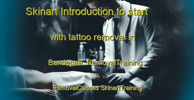 Skinart Introduction to start with tattoo removal in Bandepalli | #RemovalTraining #RemovalClasses #SkinartTraining-India