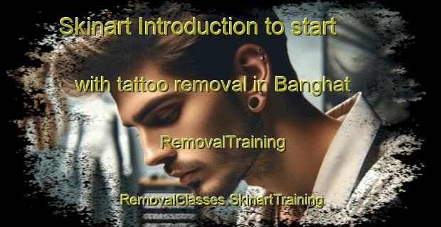 Skinart Introduction to start with tattoo removal in Banghat | #RemovalTraining #RemovalClasses #SkinartTraining-India