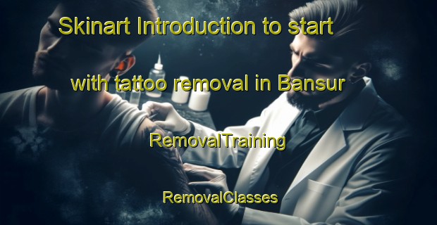 Skinart Introduction to start with tattoo removal in Bansur | RemovalTraining | RemovalClasses | SkinartTraining-India