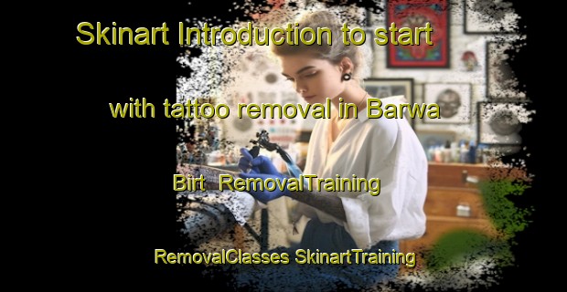 Skinart Introduction to start with tattoo removal in Barwa Birt | #RemovalTraining #RemovalClasses #SkinartTraining-India