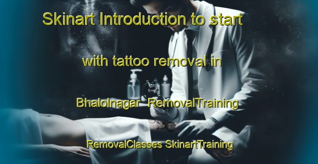 Skinart Introduction to start with tattoo removal in Bhalolnagar | #RemovalTraining #RemovalClasses #SkinartTraining-India