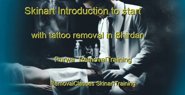 Skinart Introduction to start with tattoo removal in Bhirdan Purwa | #RemovalTraining #RemovalClasses #SkinartTraining-India