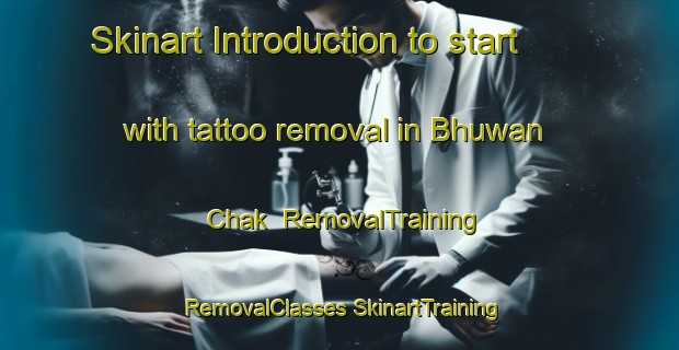 Skinart Introduction to start with tattoo removal in Bhuwan Chak | #RemovalTraining #RemovalClasses #SkinartTraining-India