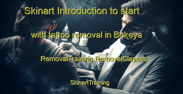 Skinart Introduction to start with tattoo removal in Bokeya | #RemovalTraining #RemovalClasses #SkinartTraining-India