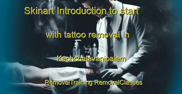 Skinart Introduction to start with tattoo removal in Kachchalavanipalem | #RemovalTraining #RemovalClasses #SkinartTraining-India