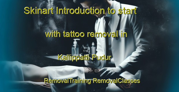 Skinart Introduction to start with tattoo removal in Kallippatti Pudur | #RemovalTraining #RemovalClasses #SkinartTraining-India