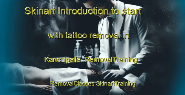 Skinart Introduction to start with tattoo removal in Kanchipalle | #RemovalTraining #RemovalClasses #SkinartTraining-India