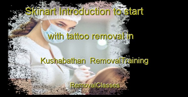 Skinart Introduction to start with tattoo removal in Kushabathan | RemovalTraining | RemovalClasses | SkinartTraining-India