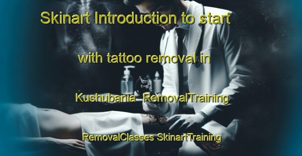 Skinart Introduction to start with tattoo removal in Kushubania | #RemovalTraining #RemovalClasses #SkinartTraining-India