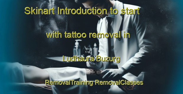 Skinart Introduction to start with tattoo removal in Ludhaura Buzurg | #RemovalTraining #RemovalClasses #SkinartTraining-India