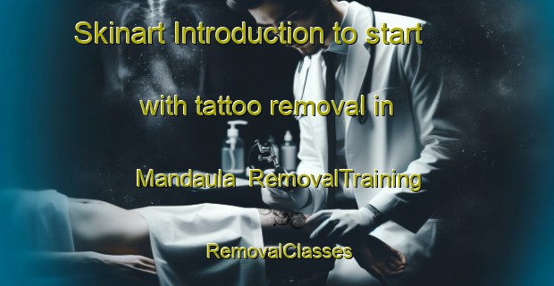 Skinart Introduction to start with tattoo removal in Mandaula | RemovalTraining | RemovalClasses | SkinartTraining-India