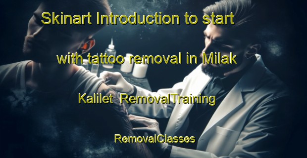 Skinart Introduction to start with tattoo removal in Milak Kalilet | RemovalTraining | RemovalClasses | SkinartTraining-India
