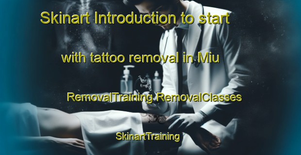 Skinart Introduction to start with tattoo removal in Miu | #RemovalTraining #RemovalClasses #SkinartTraining-India