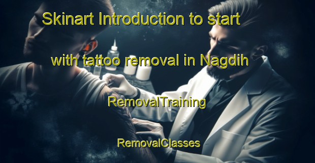 Skinart Introduction to start with tattoo removal in Nagdih | RemovalTraining | RemovalClasses | SkinartTraining-India
