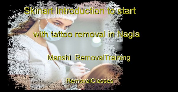 Skinart Introduction to start with tattoo removal in Nagla Manshi | RemovalTraining | RemovalClasses | SkinartTraining-India