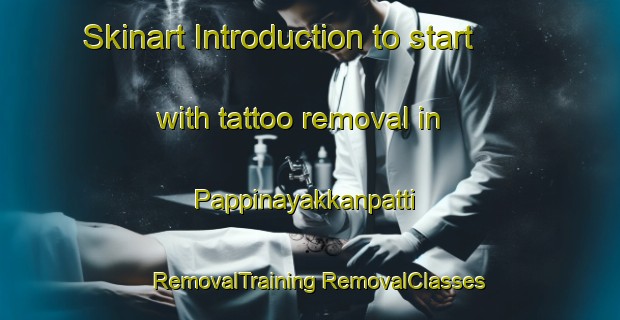 Skinart Introduction to start with tattoo removal in Pappinayakkanpatti | #RemovalTraining #RemovalClasses #SkinartTraining-India