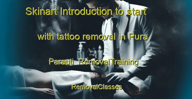 Skinart Introduction to start with tattoo removal in Pura Parauti | RemovalTraining | RemovalClasses | SkinartTraining-India