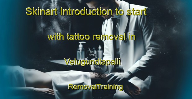 Skinart Introduction to start with tattoo removal in Velugundlapalli | RemovalTraining | RemovalClasses | SkinartTraining-India