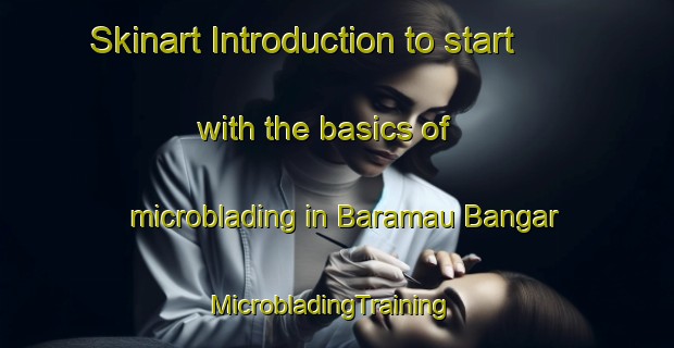 Skinart Introduction to start with the basics of microblading in Baramau Bangar | MicrobladingTraining | MicrobladingClasses | SkinartTraining-India