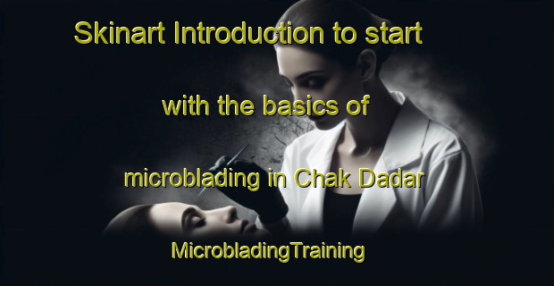 Skinart Introduction to start with the basics of microblading in Chak Dadar | MicrobladingTraining | MicrobladingClasses | SkinartTraining-India
