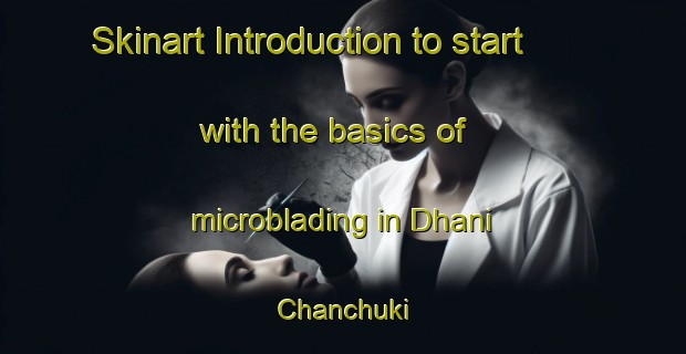 Skinart Introduction to start with the basics of microblading in Dhani Chanchuki | MicrobladingTraining | MicrobladingClasses | SkinartTraining-India