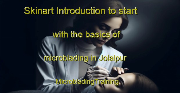 Skinart Introduction to start with the basics of microblading in Jolalpur | MicrobladingTraining | MicrobladingClasses | SkinartTraining-India