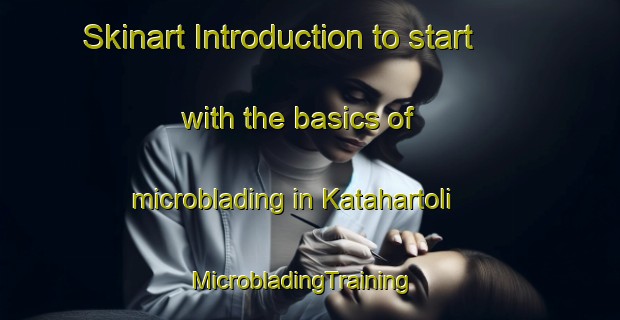 Skinart Introduction to start with the basics of microblading in Katahartoli | MicrobladingTraining | MicrobladingClasses | SkinartTraining-India