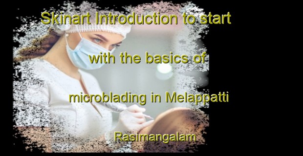 Skinart Introduction to start with the basics of microblading in Melappatti Rasimangalam | MicrobladingTraining | MicrobladingClasses | SkinartTraining-India