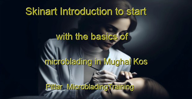 Skinart Introduction to start with the basics of microblading in Mughal Kos Pitlar | MicrobladingTraining | MicrobladingClasses | SkinartTraining-India