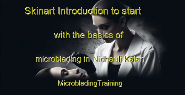 Skinart Introduction to start with the basics of microblading in Nidhauli Kalan | MicrobladingTraining | MicrobladingClasses | SkinartTraining-India