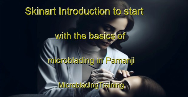 Skinart Introduction to start with the basics of microblading in Pamanji | MicrobladingTraining | MicrobladingClasses | SkinartTraining-India
