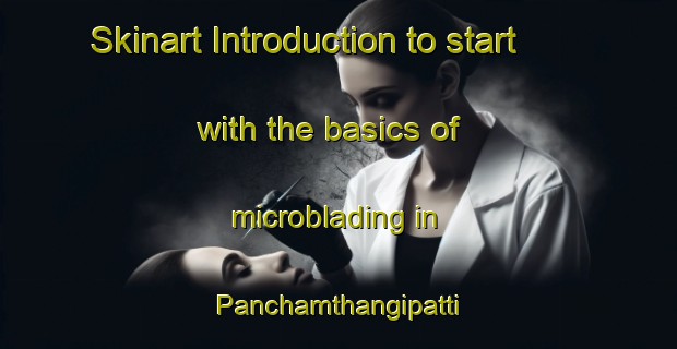 Skinart Introduction to start with the basics of microblading in Panchamthangipatti | MicrobladingTraining | MicrobladingClasses | SkinartTraining-India