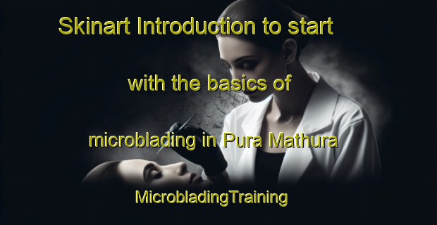 Skinart Introduction to start with the basics of microblading in Pura Mathura | MicrobladingTraining | MicrobladingClasses | SkinartTraining-India