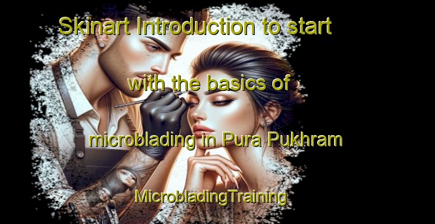 Skinart Introduction to start with the basics of microblading in Pura Pukhram | MicrobladingTraining | MicrobladingClasses | SkinartTraining-India