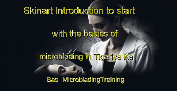 Skinart Introduction to start with the basics of microblading in Tigariya Ka Bas | MicrobladingTraining | MicrobladingClasses | SkinartTraining-India