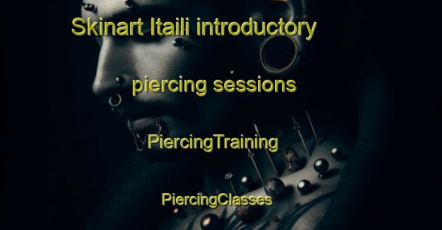 Skinart Itaili introductory piercing sessions | PiercingTraining | PiercingClasses | SkinartTraining-India
