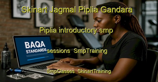 Skinart Jagmal Piplia Gandara Piplia introductory smp sessions | SmpTraining | SmpClasses | SkinartTraining-India