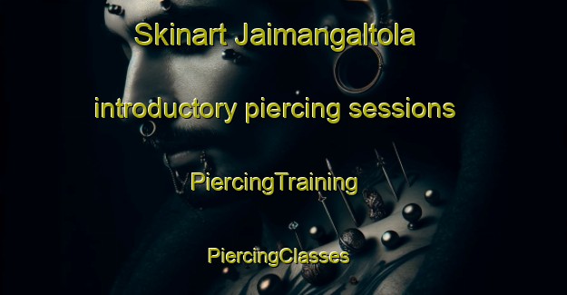 Skinart Jaimangaltola introductory piercing sessions | PiercingTraining | PiercingClasses | SkinartTraining-India