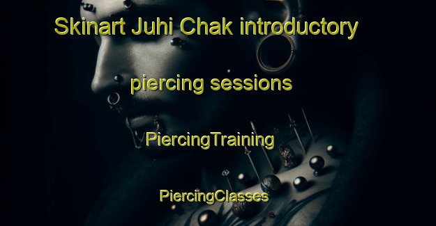Skinart Juhi Chak introductory piercing sessions | PiercingTraining | PiercingClasses | SkinartTraining-India