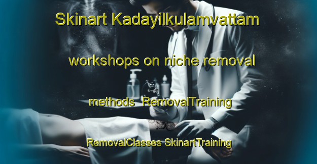 Skinart Kadayilkulamvattam workshops on niche removal methods | #RemovalTraining #RemovalClasses #SkinartTraining-India