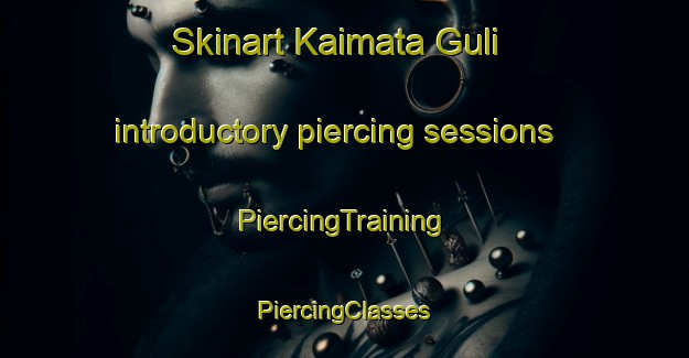 Skinart Kaimata Guli introductory piercing sessions | #PiercingTraining #PiercingClasses #SkinartTraining-India