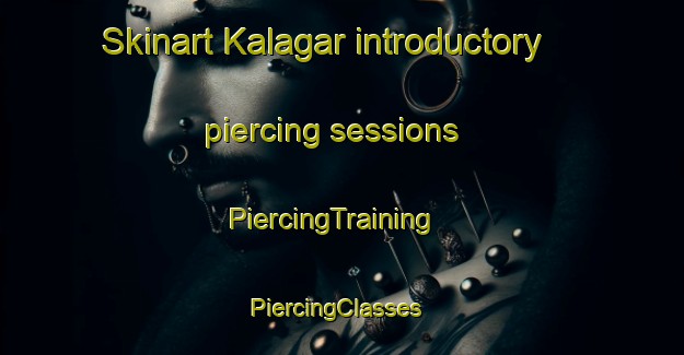 Skinart Kalagar introductory piercing sessions | PiercingTraining | PiercingClasses | SkinartTraining-India