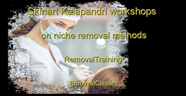 Skinart Kalapandri workshops on niche removal methods | RemovalTraining | RemovalClasses | SkinartTraining-India