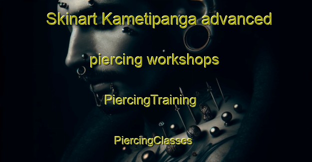 Skinart Kametipanga advanced piercing workshops | PiercingTraining | PiercingClasses | SkinartTraining-India