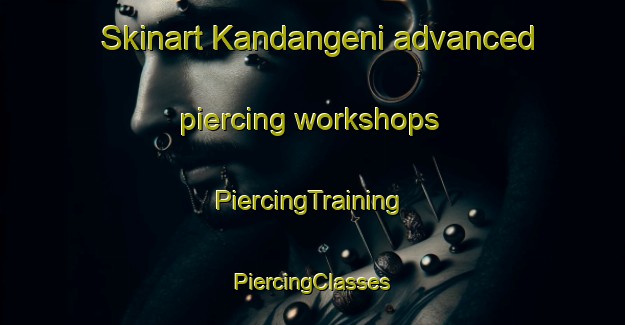 Skinart Kandangeni advanced piercing workshops | #PiercingTraining #PiercingClasses #SkinartTraining-India