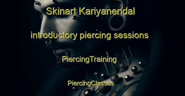 Skinart Kariyanendal introductory piercing sessions | PiercingTraining | PiercingClasses | SkinartTraining-India
